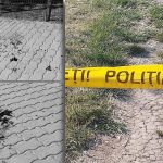 „Echipaje de poliție și ambulanță intervenind în Parcul Pădurice din Timișoara după o bătaie generală.”