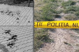 „Echipaje de poliție și ambulanță intervenind în Parcul Pădurice din Timișoara după o bătaie generală.”