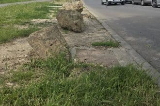 „Amenajare peisagistică urbană cu blocuri de piatră și strat de mulci în Timișoara, subiectul disputei dintre primărie și Garda de Mediu.”