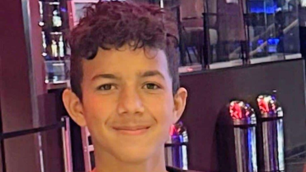 „Portretul lui Varga Roberto-Ianis, minorul de 14 ani dispărut de la o școală din localitatea Fădimac, județul Timiș.”