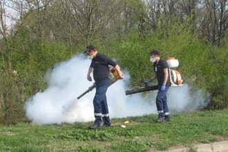 Utilaj specializat pulverizând substanțe chimice pentru combaterea țânțarilor și căpușelor în timpul nopții pe domeniul public din Timișoara.