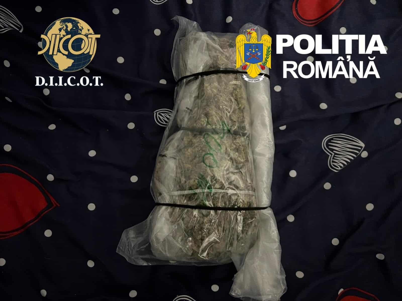 Pungi vidate cu canabis, substanțe interzise, cântar electronic de precizie și bani întinși pe masă în timpul unei anchete DIICOT.