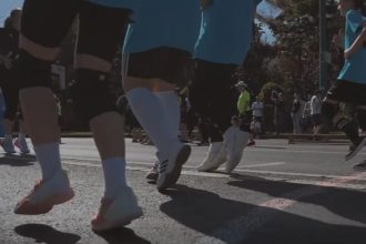Intrarea în Pasajul Michelangelo din Timișoara complet liberă de mașini în timpul unui eveniment public comunitar.