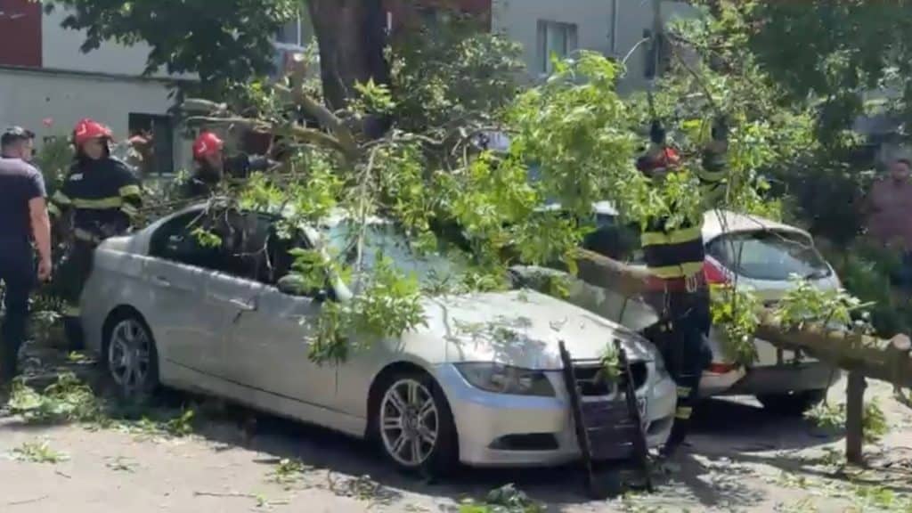 Un arbore de mari dimensiuni prăbușit peste caroseria a trei autoturisme parcate în zona rezidențială Intrarea Neptun din Timișoara.