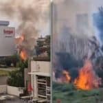 Resturile arse ale unui arbust de vegetație uscată în imediata apropiere a monumentului Ceasul Floral din Timișoara.