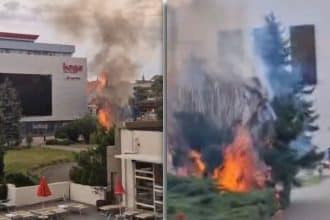 Resturile arse ale unui arbust de vegetație uscată în imediata apropiere a monumentului Ceasul Floral din Timișoara.