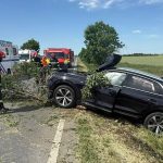 Accident pe centura municipiului Arad, după ce o mașină s-a izbit de un copac