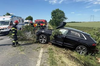 Accident pe centura municipiului Arad, după ce o mașină s-a izbit de un copac
