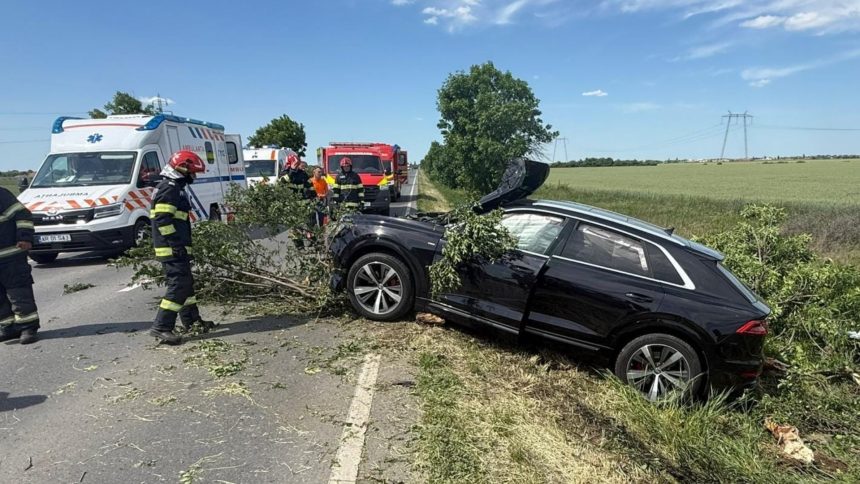 Accident pe centura municipiului Arad, după ce o mașină s-a izbit de un copac