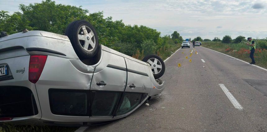 Autoturism răsturnat pe pavilion pe șoseaua DJ 593 la intrarea în localitatea Peciu Nou în urma coliziunii cu un atelaj hipo.