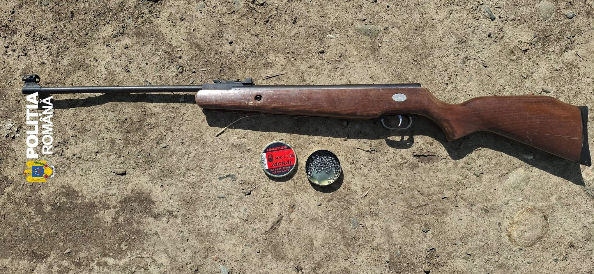 Echipaje de poliție din cadrul structurilor de arme și muniții desfășurând o anchetă în curtea unei locuințe din județul Hunedoara.