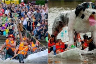 Public adunat în Parcul Alpinet din Timișoara susținând concurenții de la o competiție de ecologie și teambuilding.