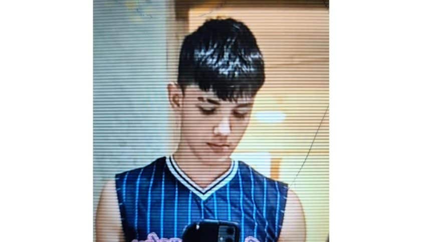 Fotografie de profil a adolescentului Valentin-Ionuț Istina, în vârstă de 17 ani, dat dispărut de familie în municipiul Vulcan.