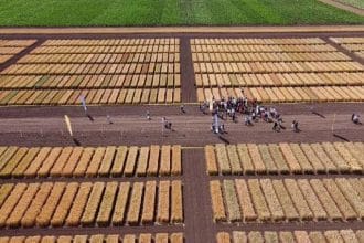 Participanți la Ziua Câmpului organizată la Stațiunea de Cercetare-Dezvoltare Agricolă Lovrin, unde au fost prezentate tehnologii moderne pentru agricultură