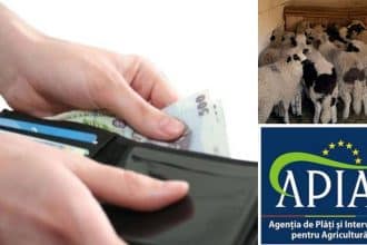 Fermier completând cererea pentru eliberarea adeverinței APIA necesare accesării unui credit bancar cu dobândă plafonată.