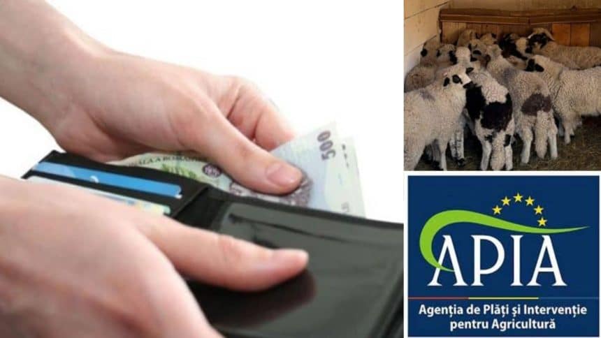 Fermier completând cererea pentru eliberarea adeverinței APIA necesare accesării unui credit bancar cu dobândă plafonată.