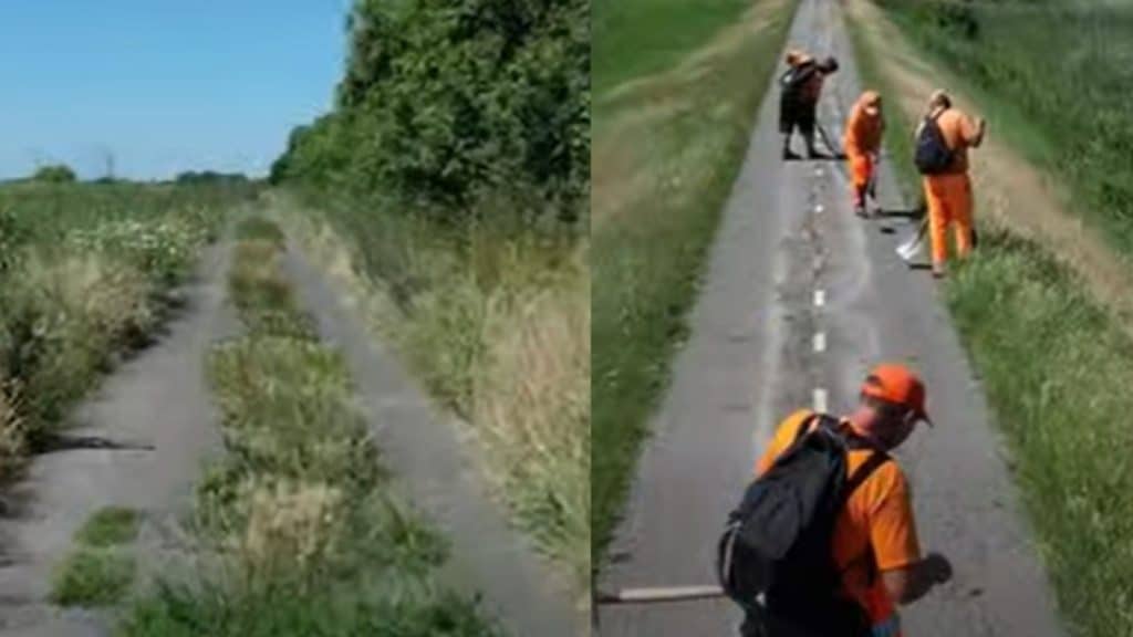 Tronson degradat din pista de biciclete Timișoara - Zrenjanin, prezentând fisuri în asfalt și vegetație crescută prin covorul de rulare.
