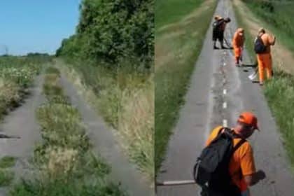 Tronson degradat din pista de biciclete Timișoara - Zrenjanin, prezentând fisuri în asfalt și vegetație crescută prin covorul de rulare.