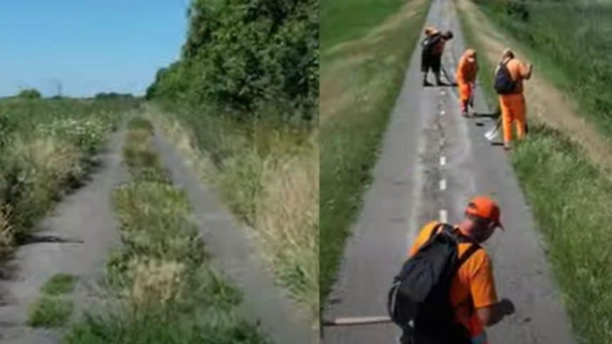 Tronson degradat din pista de biciclete Timișoara - Zrenjanin, prezentând fisuri în asfalt și vegetație crescută prin covorul de rulare.