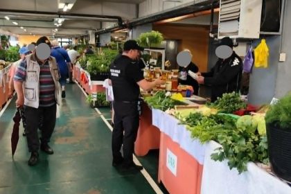 Agenți ai Poliției Locale Timișoara verificând atestatele de producător și cântarele comercianților la o tarabă de legume dintr-o piață agroalimentară.
