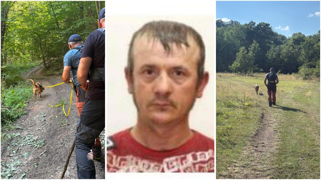 Echipe mixte formate din salvamontiști, jandarmi și câini de urmă desfășurând operațiuni de căutare în zona împădurită Răcăștie din Hunedoara.
