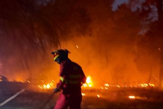 Incendiu masiv de vegetație în provincia Zaragoza, Spania, cu flăcări violente