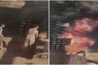 Flăcări uriașe la traversele incendiate intenționat lângă calea ferată, în zona Timișoara Sud
