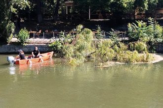 Pompieri și voluntari curățând albia canalului Bega de trunchiuri de copaci după o furtună puternică în Timișoara.