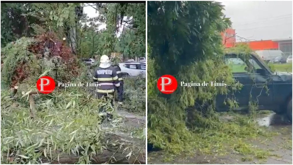 Pompieri militari din Timișoara folosind o drujbă pentru a tăia și îndepărta un copac masiv prăbușit peste un autoturism în timpul vijeliei.
