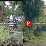 Pompieri militari din Timișoara folosind o drujbă pentru a tăia și îndepărta un copac masiv prăbușit peste un autoturism în timpul vijeliei.