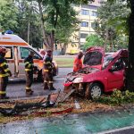 Autoturism grav avariat pe marginea străzii F.C. Ripensia din Timișoara, după ce s-a izbit violent de un copac de pe marginea drumului.