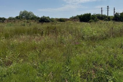 Teren neintretinut cu vegetatie necontrolata si buruieni din comuna Giroc, vizat de controalele si amenzile primariei.