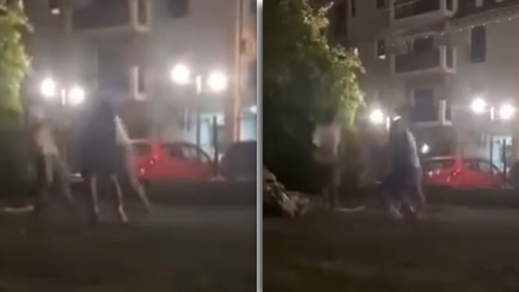 Polițiști la locul incidentului în care patru copii au fost agresați în Giroc