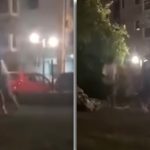 Polițiști la locul incidentului în care patru copii au fost agresați în Giroc