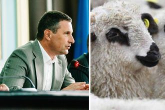 Ministrul interimar al Agriculturii, Tanczos Barna, în dialog cu crescătorii de oi pentru deblocarea exporturilor în contextul carantinei de Pestă a Micilor Rumegătoare.