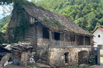 Echipă de specialiști și studenți la arhitectură demontând bârnă cu bârnă o casă istorică din Gârliște pentru a fi relocată la Timișoara.