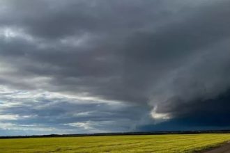 Pericolul nevăzut din timpul furtunilor de vară: Polenul spart de umiditate poate ajunge adânc în plămânii copiilor, declanșând crize severe de astm.