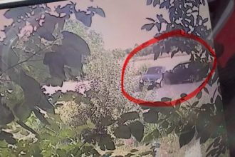 Patru autoturisme au fost avariate pe Calea Torontalului din Timișoara din cauza neacordării de prioritate.
