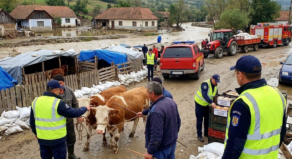 Ghidul ANSVSA privind protecția animalelor și regulile stricte de siguranță alimentară pentru prevenirea bolilor.