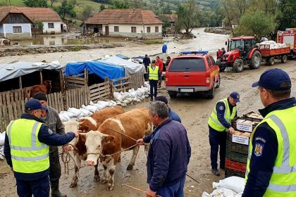 Ghidul ANSVSA privind protecția animalelor și regulile stricte de siguranță alimentară pentru prevenirea bolilor.