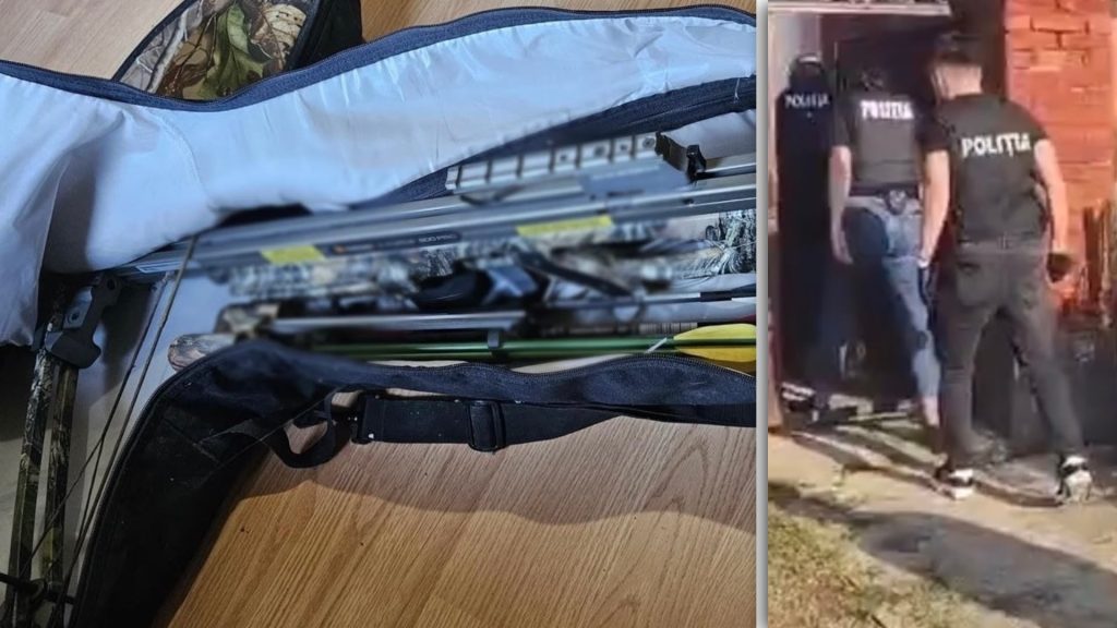 Un angajat este cercetat pentru fals informatic după ce ar fi vândut lemn la suprapreț folosind peste 170 de avize false.