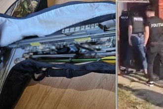 Un angajat este cercetat pentru fals informatic după ce ar fi vândut lemn la suprapreț folosind peste 170 de avize false.