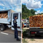 Polițiștii din Timiș au confiscat peste 5 metri cubi de lemn de fag din cauză că avizele de însoțire erau expirate.