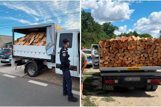 Polițiștii din Timiș au confiscat peste 5 metri cubi de lemn de fag din cauză că avizele de însoțire erau expirate.