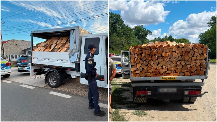 Polițiștii din Timiș au confiscat peste 5 metri cubi de lemn de fag din cauză că avizele de însoțire erau expirate.