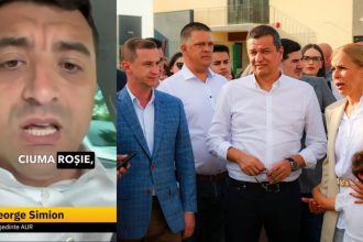 Tribunalul Timiș l-a obligat pe liderul AUR la plata unor daune morale pentru afirmațiile din campania electorală.