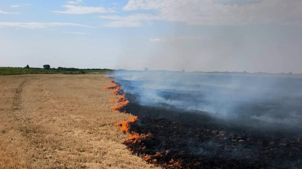Salvatorii din Timiș au intervenit la peste 90 de urgențe medicale și incendii devastatoare într-o singură zi.