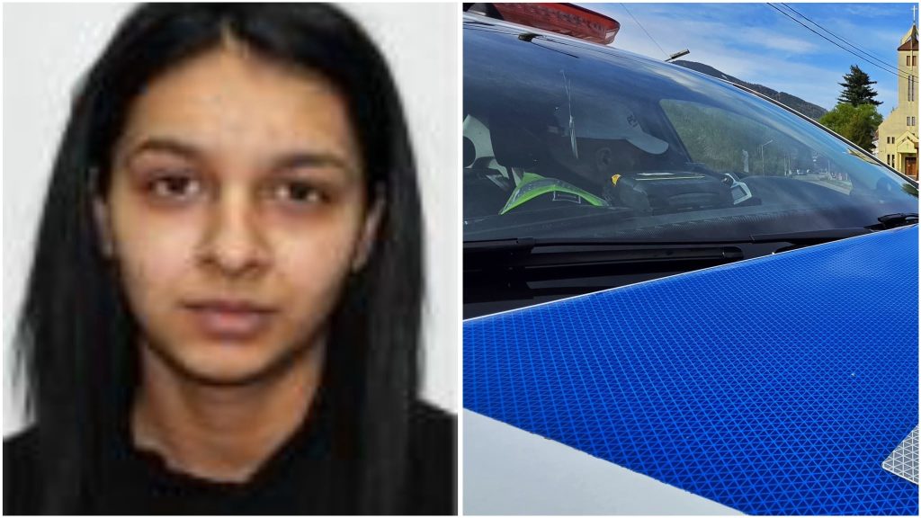 Căutări de urgență în Hunedoara: Claudia Maria Zomanți (19 ani) a dispărut din Hațeg.