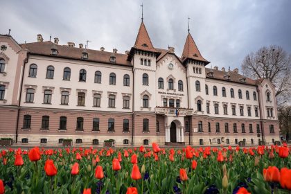 Măsuri de economie în Timiș: Primăria Lugoj reduce intensitatea iluminatului public pe timp de noapte pentru a scădea consumul de energie.