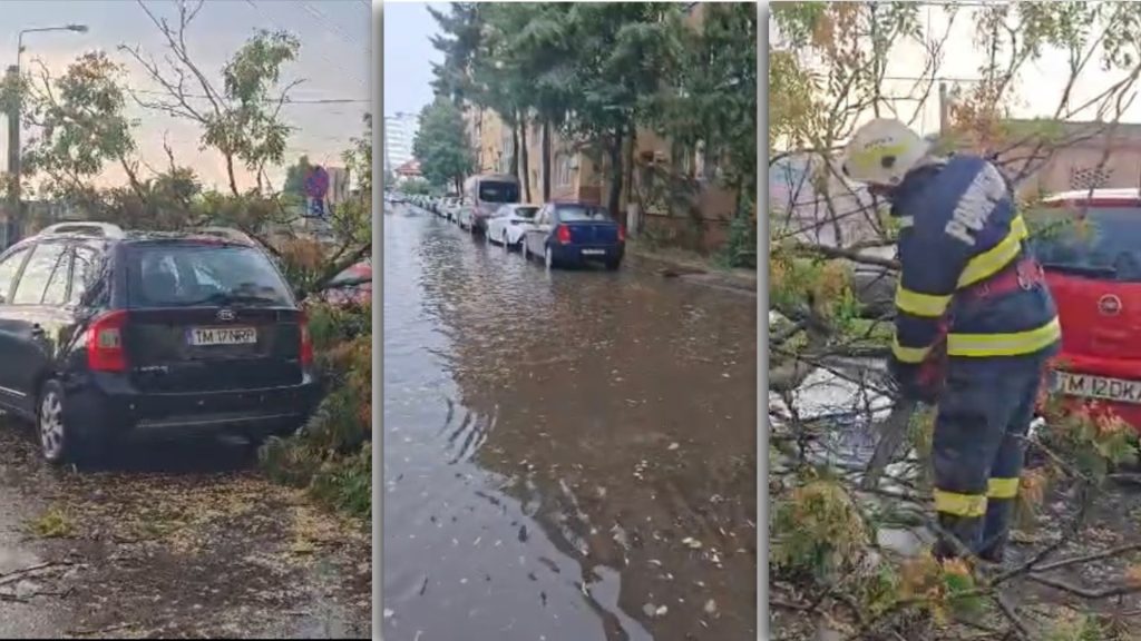 Furtuna a doborât copaci și a inundat mai multe străzi din Timișoara
